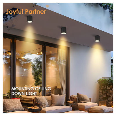 야외 벽에 장착 된 실린더 램프 검은 LED 아래로 세로 야외 정원 램프 Cree COB Led 15W 3500k